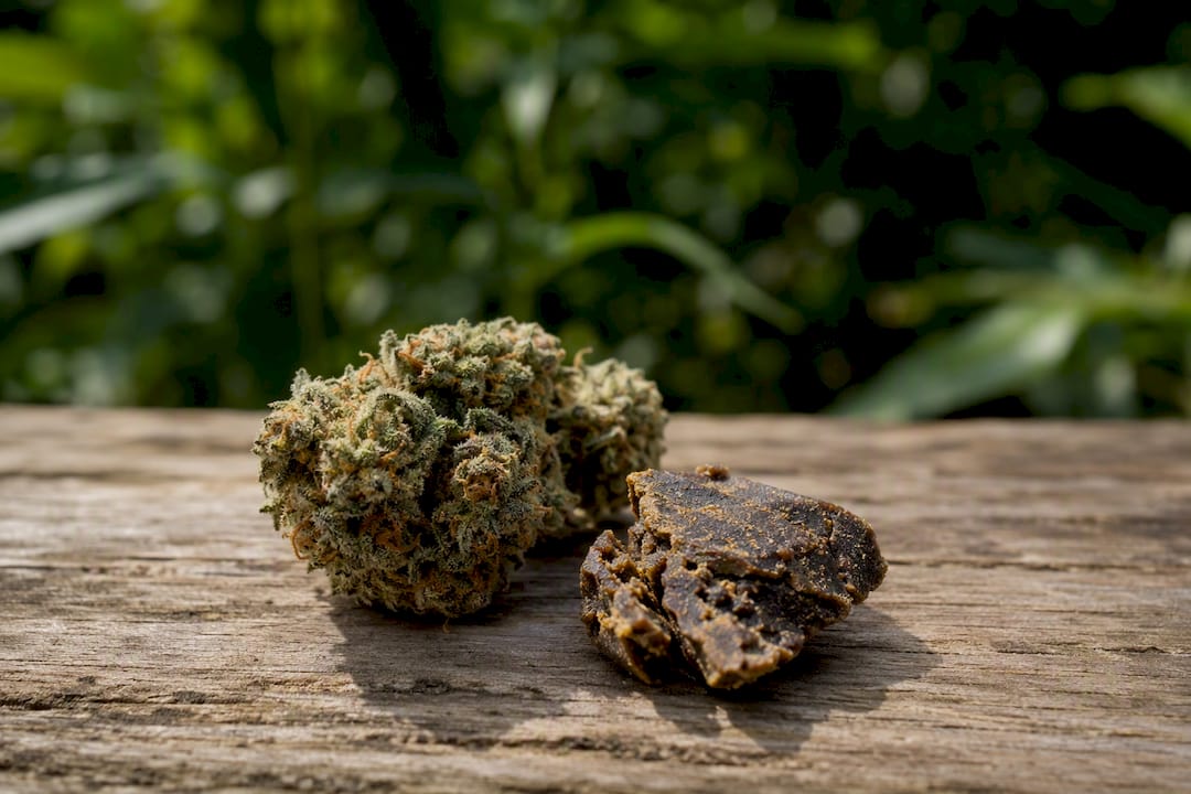 CBD ou CBC : quand privilégier l'un et comment les combiner - 420 Green road