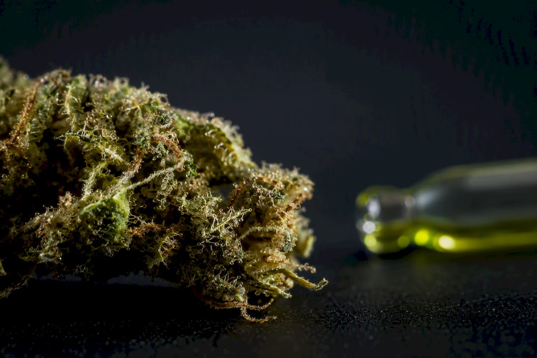 CBD ou CBG : testez 2 semaines, preuves, risques et traçabilité vérifiable - 420 Green road