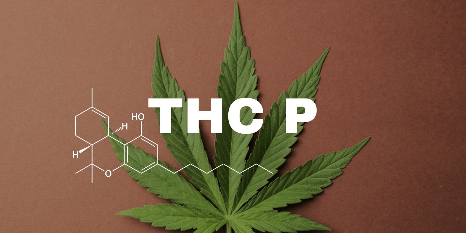 Le THCP : C'est quoi ? - 420 Green road
