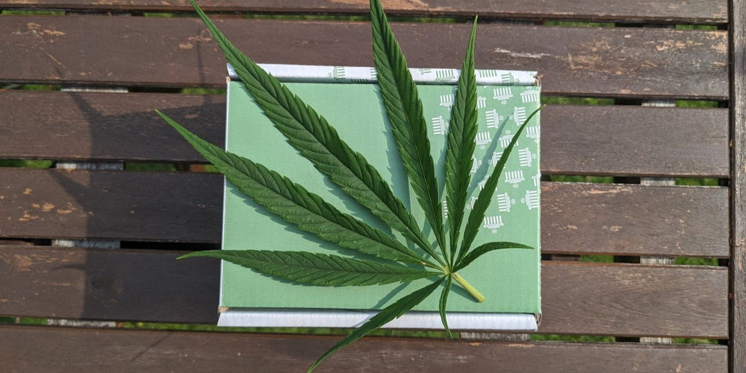 Les différents cannabinoïdes naturels : CBD, THC, CBG, CBN - 420 Green road