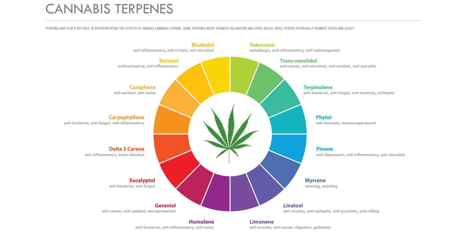 Les terpènes du chanvre : usages et vertus - 420 Green road