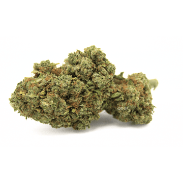 Acapulco Gold | Fleur de CBD Hydro | 25% CSA - 420 Green road