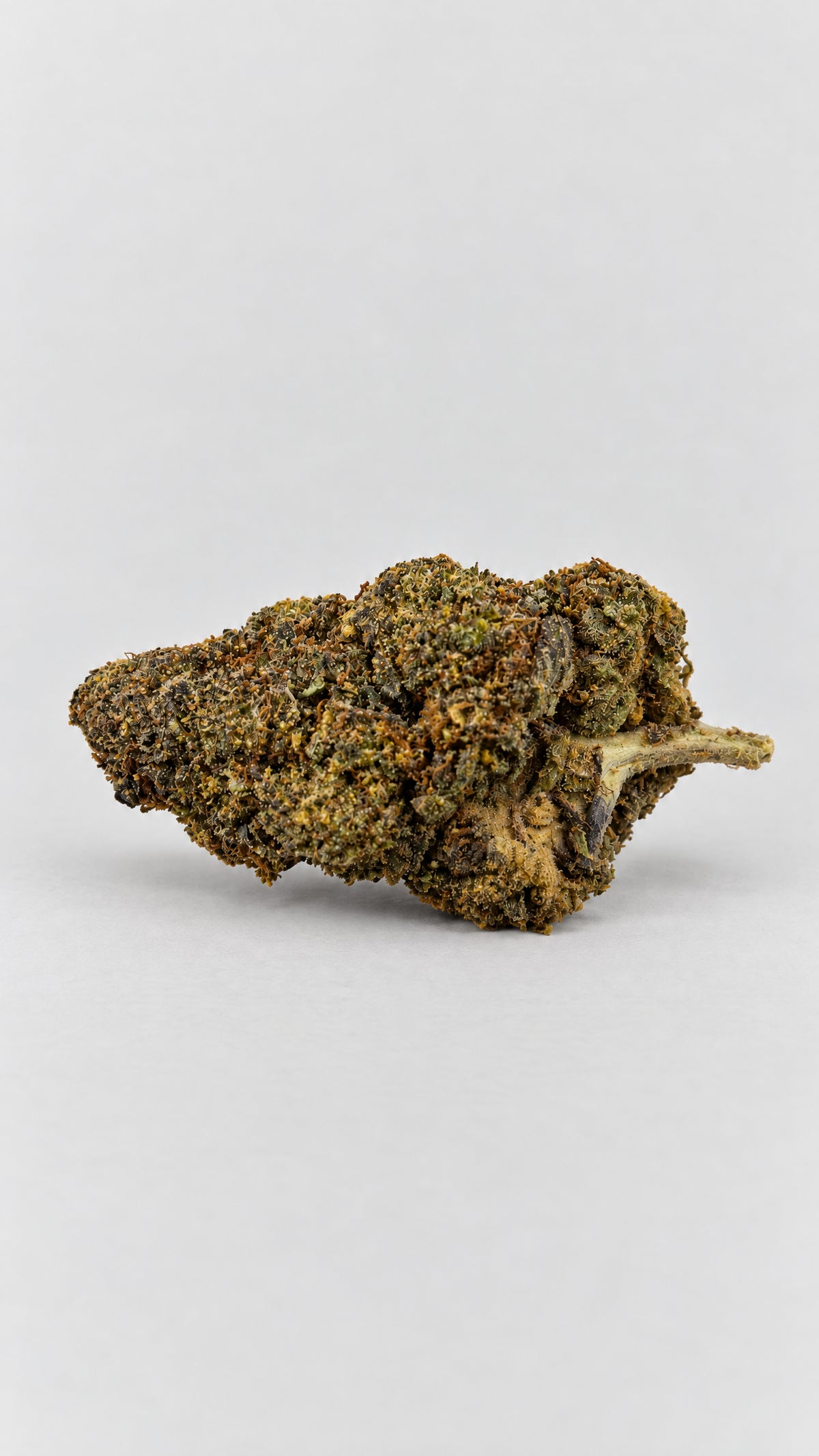 Mango Crush | Fleur CBD Indoor | 30% THCX