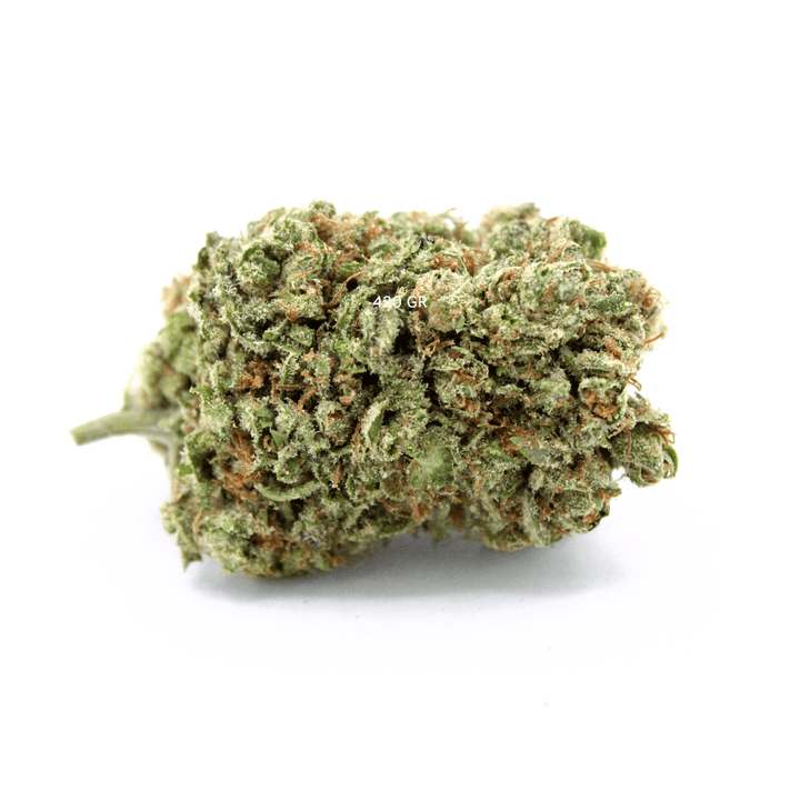 Hydro + Hash (Alien OG, Jungle Kush, La Mousse) - 420 Green road