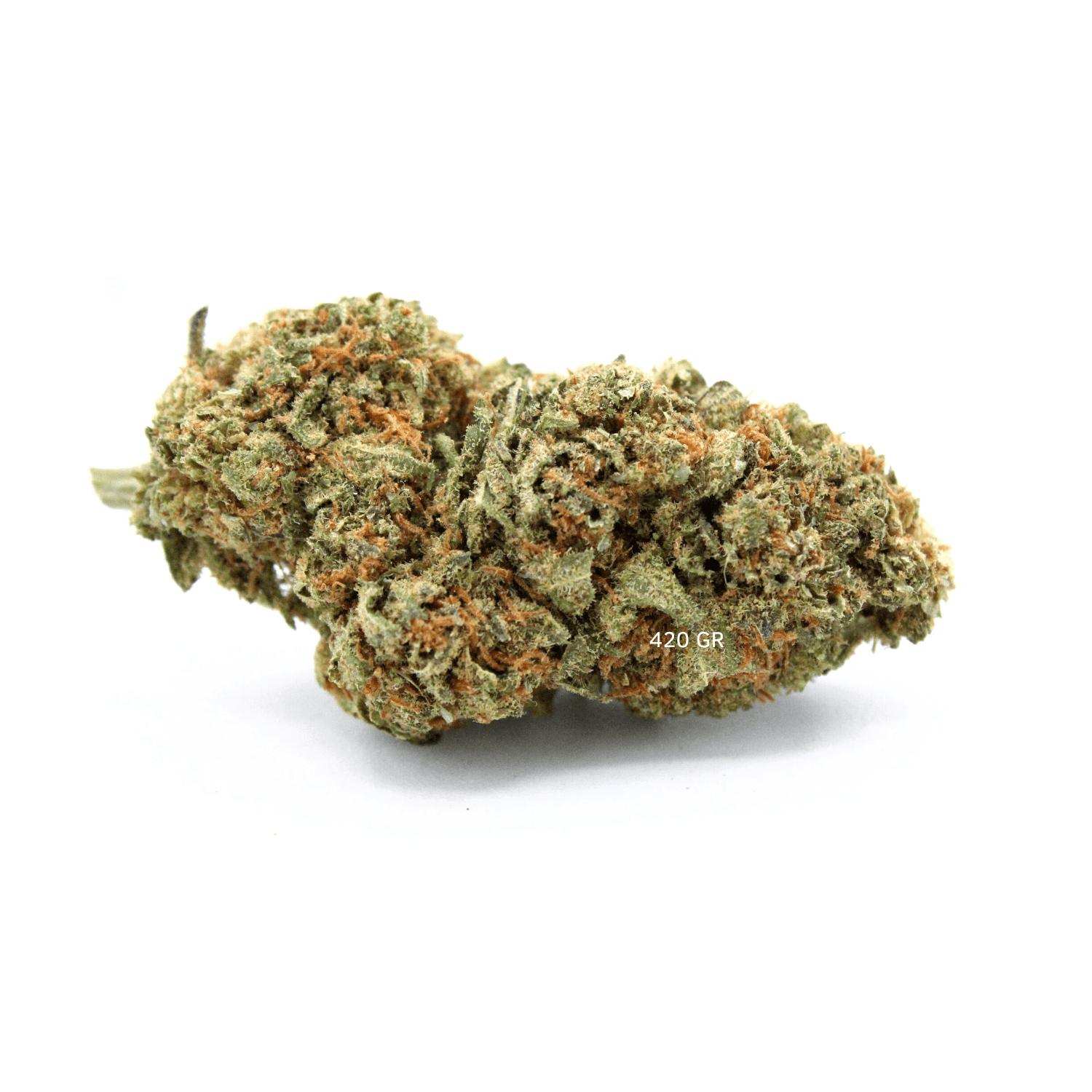 Jack Herer | Fleur de CBD Indoor | 15% CSA - 420 Green road