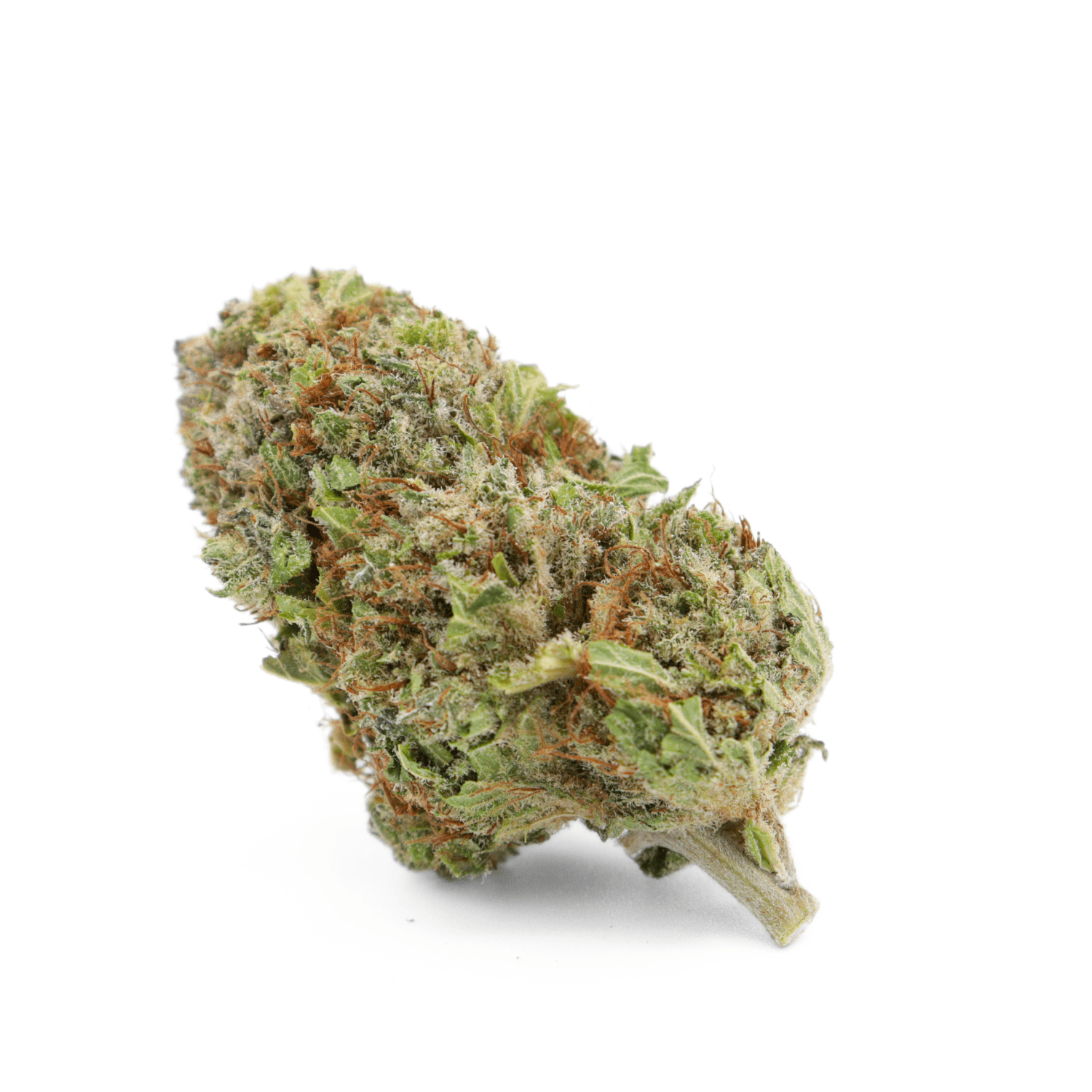 Jungle Kush | Fleur de CBD Hydro | 20% CSA - 420 Green road