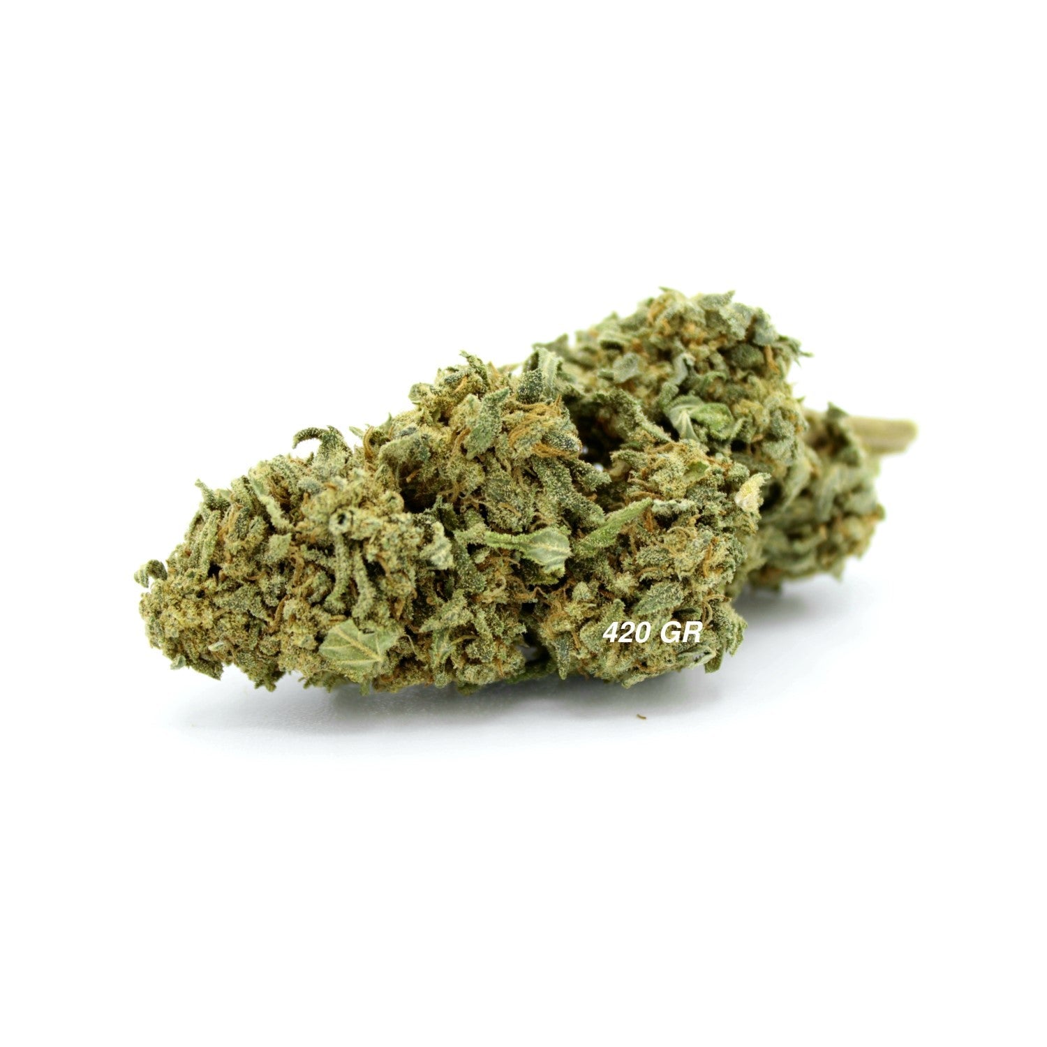 Mango Haze | Fleur CBD Indoor | 17,2% CBD - 420 Green road