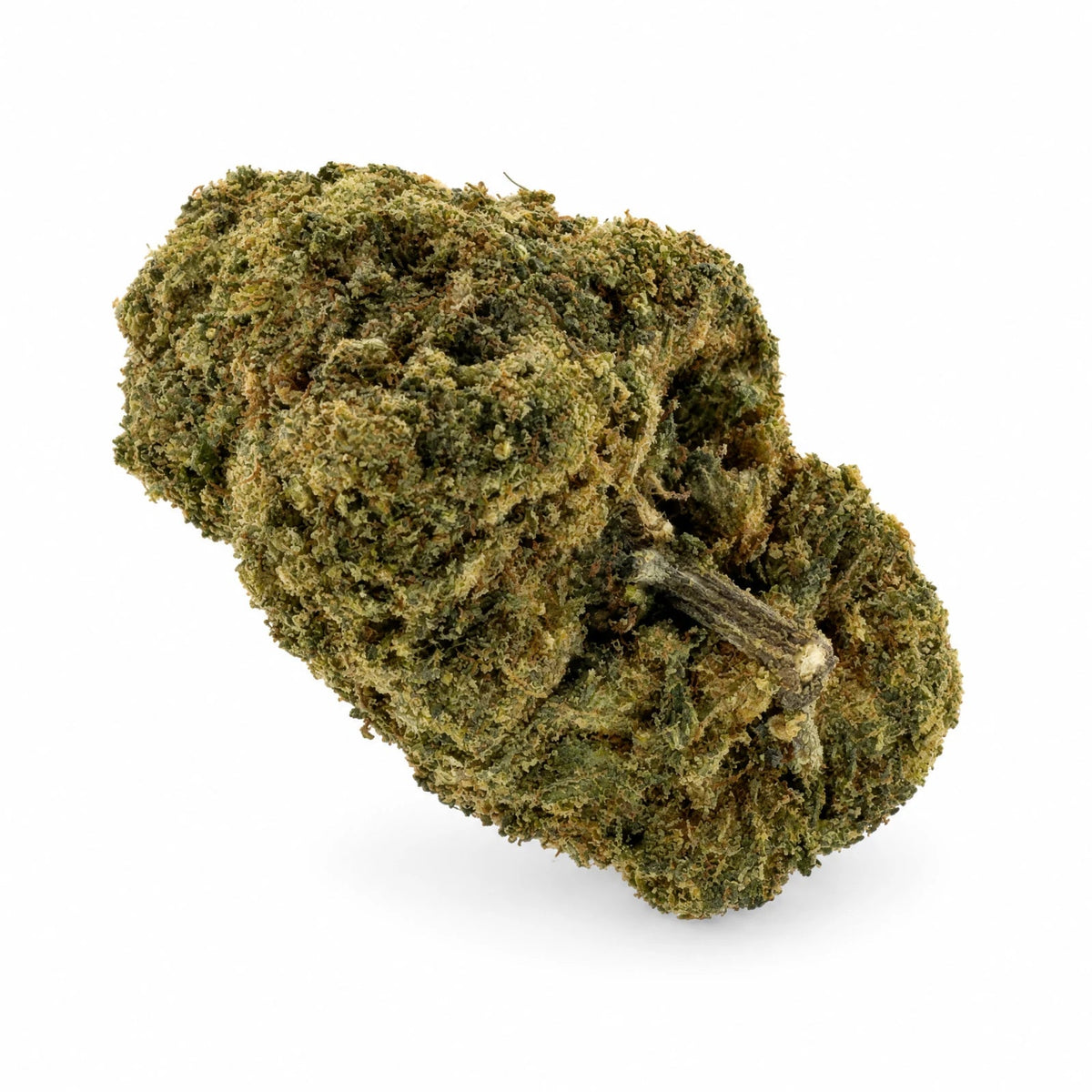 Miss Purple | indoor | 15% CSA - 420 Green road