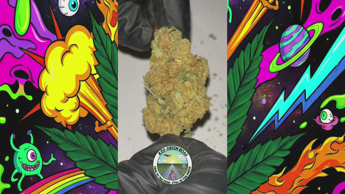Cargar vídeo: Euphoria | Hidroponía | 11,3% CBD