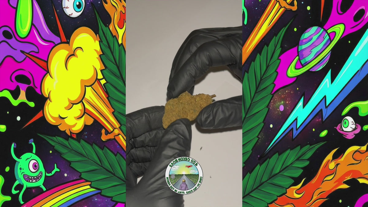 Cargar vídeo: Alien OG | Hidroponía | 20% THC