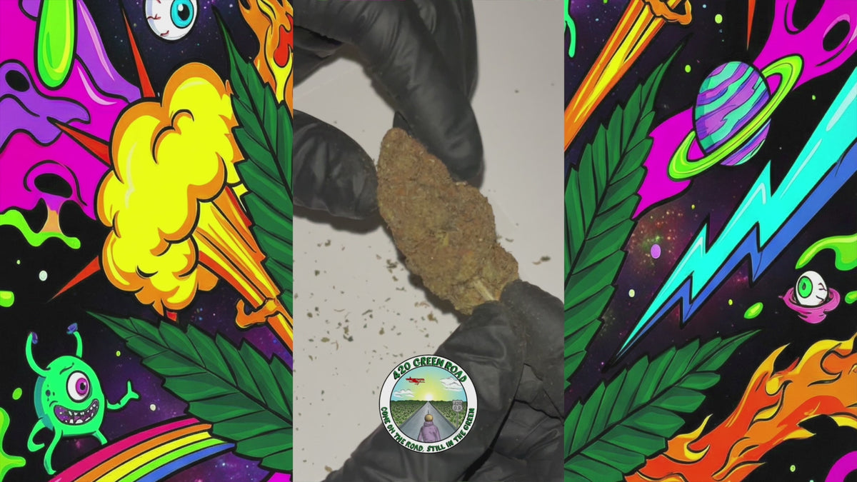 Cargar vídeo: Mango Haze | Flor CBD Interior | 17,2% CBD