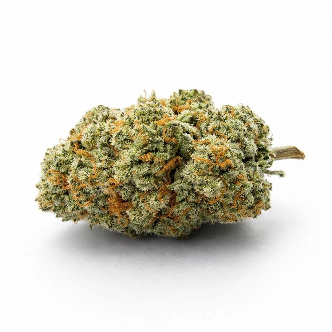 Tropical Nova | Fleur de CBD Indoor | 10% CSA - 420 Green road