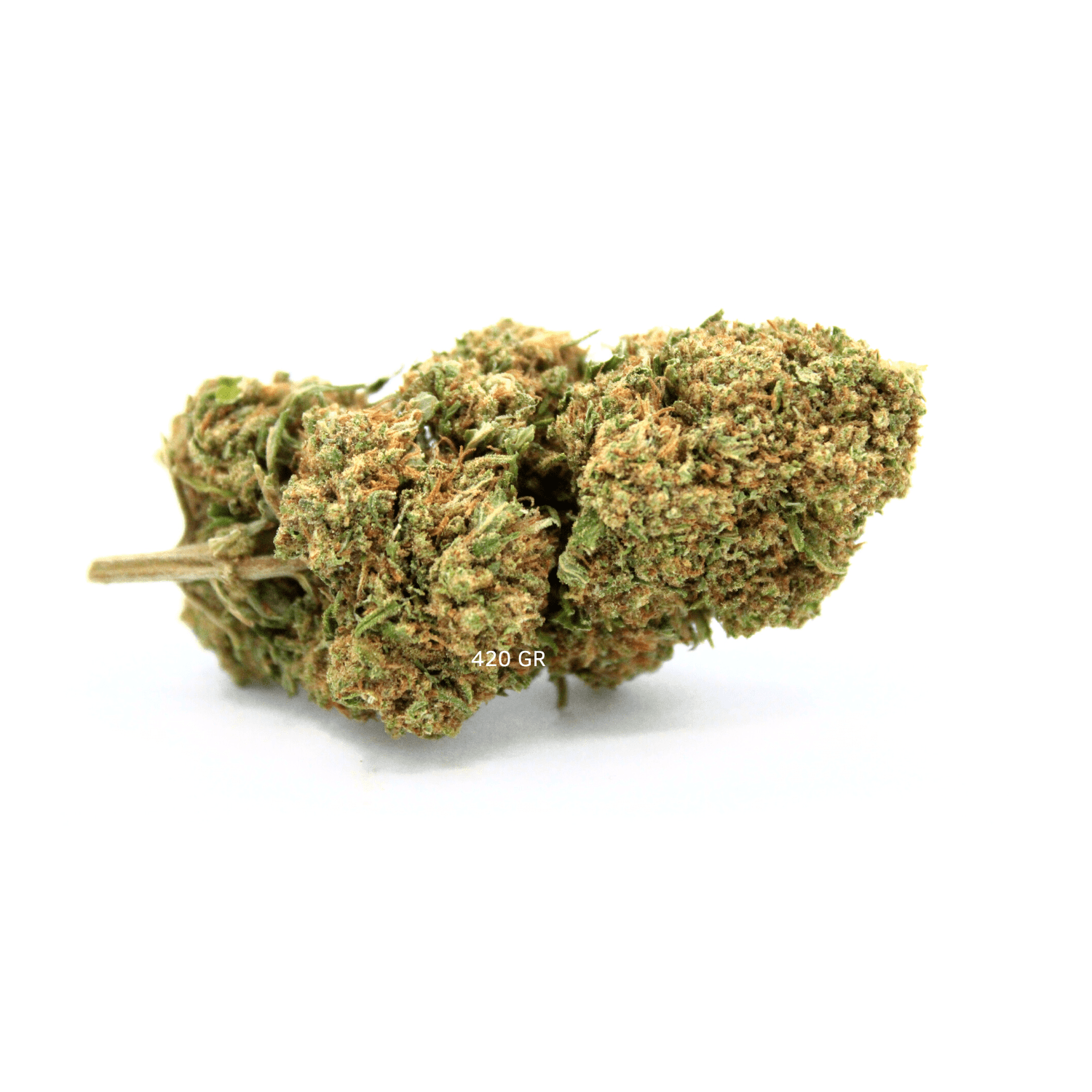 Tropicana Kush | Fleur CBD Indoor | 16% CBD - 420 Green road